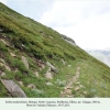 erebia melancholica biotope tcheget1